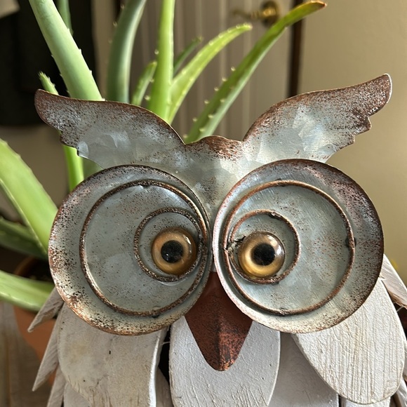 UNIQUE DRIFTWOOD GALVANIZED MEDAL, AMBER EYE  OWL, HOME DECOR - Picture 3 of 8